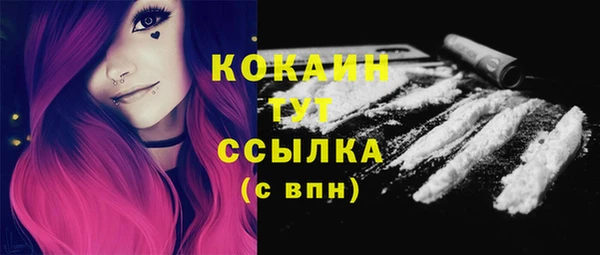 ПСИЛОЦИБИНОВЫЕ ГРИБЫ Инта
