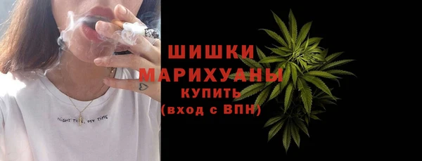 прущие грибы Инсар
