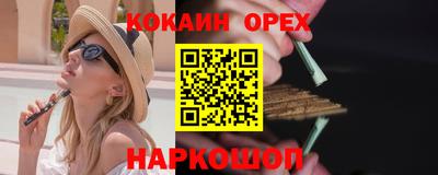 крисы Кулебаки