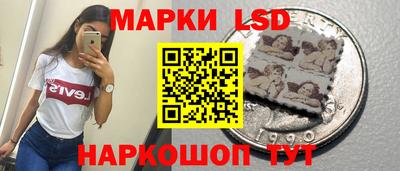 крисы Кулебаки