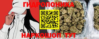 МДМА Кудрово