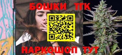 крисы Кулебаки