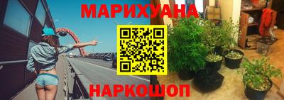 крисы Кулебаки