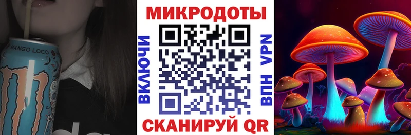 KRAKEN как зайти  где купить наркоту  Кропоткин  Псилоцибиновые грибы Psilocybe 