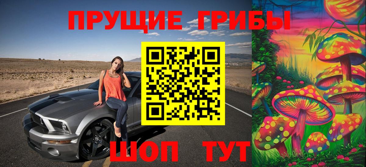 Галлюциногенные грибы прущие грибы Кропоткин