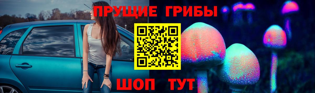 Псилоцибиновые грибы Cubensis  Псилоцибиновые грибы мицелий  Кропоткин 